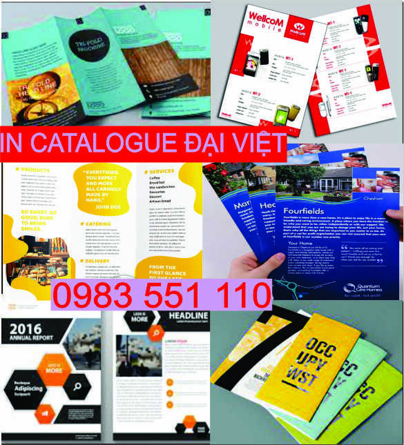 Thiết kế in profile brochure, thiết kế in catalogue tờ rơi Quy Nhơn